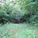 남산공원길1 이미지