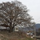 병곡면보건지소 이미지