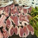 하계생오리 이미지