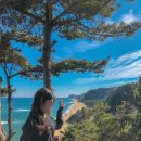 스테이인터뷰 | 정동진 카페 추천, 강릉 오션뷰 카페 끝판왕 "스테이 인터뷰" 솔직후기 (주차·뷰맛집)