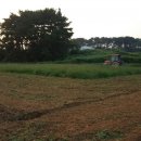 세안농장 이미지