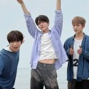 시온 이미지