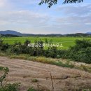 배들공인중개사사무소 이미지