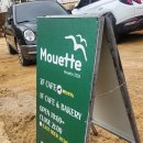 무에뜨(mouette)