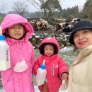 아주사적인풀빌라 | 엄마 혼자 아이 둘 데리고 떠난 제주 2박 3일 생존기(1)