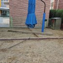 변동초교병설 이미지