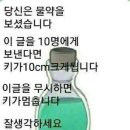 양평소나무펜션 이미지