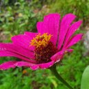 효정아파트경로당 이미지