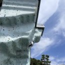 금련산청소년수련원 | 클라이머의 벚꽃놀이 황령산 금련산 청소년 수련원