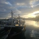 해성피싱 이미지