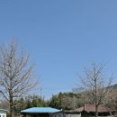 주천면 고촌마을 네이버블로그
