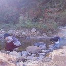 진희농장 이미지