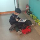 꿈나무도서관 이미지