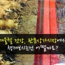 관문약업사 이미지