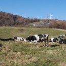 서정목장 이미지