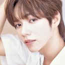 제이엘 카카오 검색결과