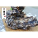 멍이랑 양이랑 이미지