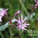 오늘은 음표 이미지