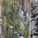 사리농장 | 발리 신혼여행 기록 - 클룩 우붓 폭포 하이라이트 투어, 커피농장, 베벡 테바사리 레스토랑 후기