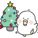 태극안경콘택트(비래점) 이미지