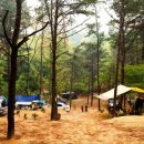 씨알농장 이미지