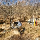 이주형 현실 상황 이미지