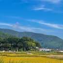 YK Happy House | [ 거제숙소 ] 이름 그대로 행복했던 에어비앤비 ‘YK happy house’ 가성비 👍🏻🏡