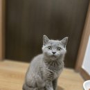 묘한쉼터 이미지