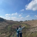 다람쥐풀스튜디오