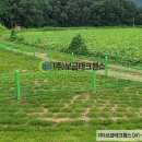 주식회사 보금 이미지
