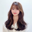 다솜헤어 이미지