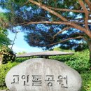 고인돌공원(동절기) 이미지