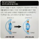 아이피아안경원 이미지