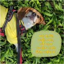 주식회사 메디파트 이미지