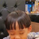 스시 투어 이미지