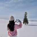 뷰티바이초이스 | 비에이투어 가이드님도 극찬하신 삿포로 코디 여행 준비물 필수템 사진 꿀팁