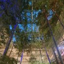 오리 베이커리 이미지