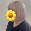 리헤어샤인 네이버블로그