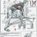 스카이 토탈 휘트니스 센타 이미지