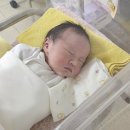 맘존산후조리원 이미지