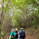 서리풀길 9 이미지