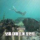 버디 | 보홀 대왕조개 프리다이빙 포인트 위치 단독투어 버디후기