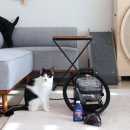 전원세탁소운동화 | 비쎌 스팟클린 하이드로 스팀 프로 고양이 사료토 제거 습식 청소기 추천