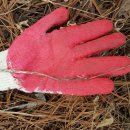 영심농장 이미지