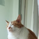 결이 다름 이미지