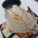 진오마카세
