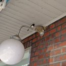 GS25 [예산신양점] 이미지