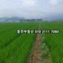 대산면920 이미지