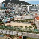 동삼초등학교 이미지