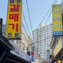 꼬들 이미지
